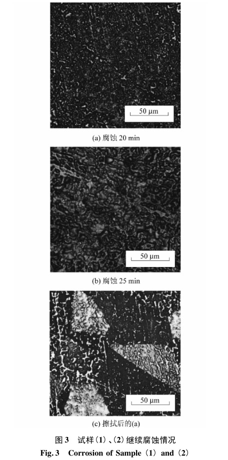 試樣(1)、(2)繼續腐蝕情況 試樣(1)、(2)繼續腐蝕情況