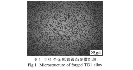 Ti31合金原始鍛態(tài)顯微組織 Ti31合金原始鍛態(tài)顯微組織
