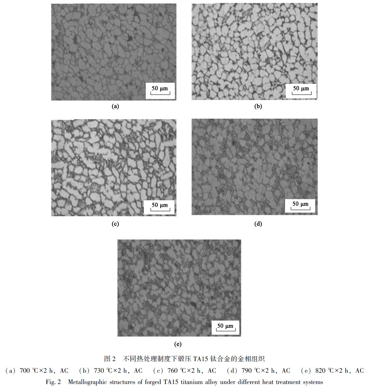 1671612833320487.jpg t2.jpg