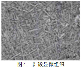 1677365163836096.jpg 4.jpg