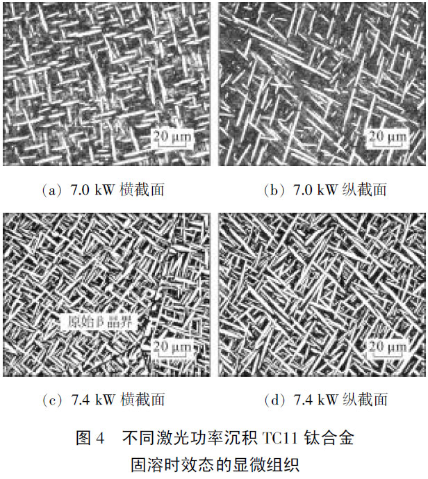 1677898409189772.jpg t4.jpg