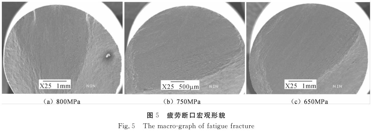 1697980318165493.jpg t5.jpg