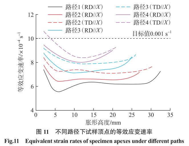 1700707213866130.jpg t11.jpg