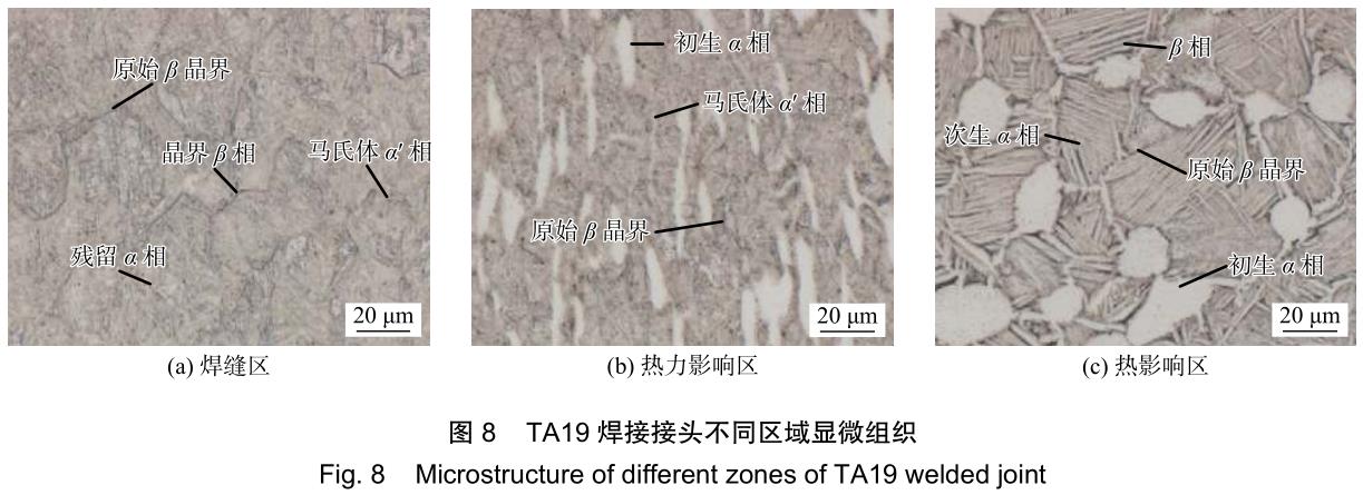 1706279229720330.jpg t8.jpg