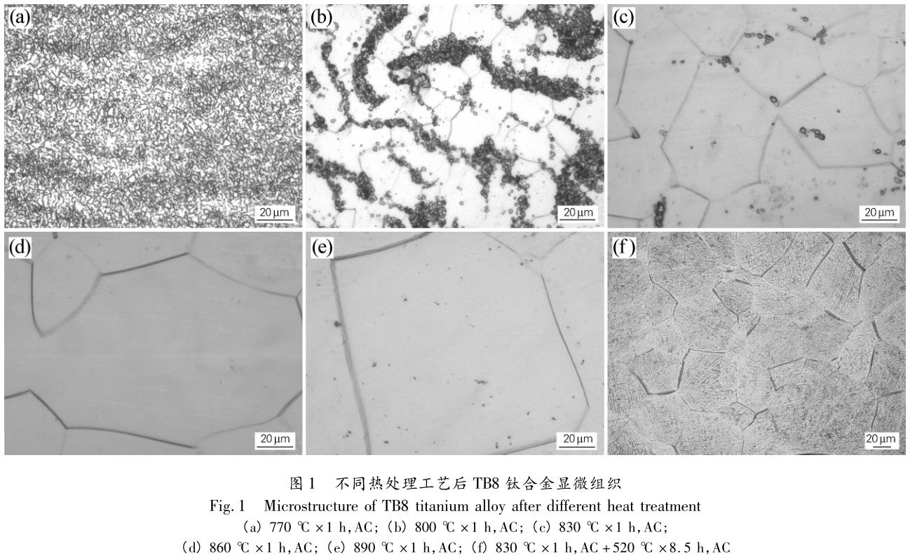 1708008573412549.jpg t1.jpg