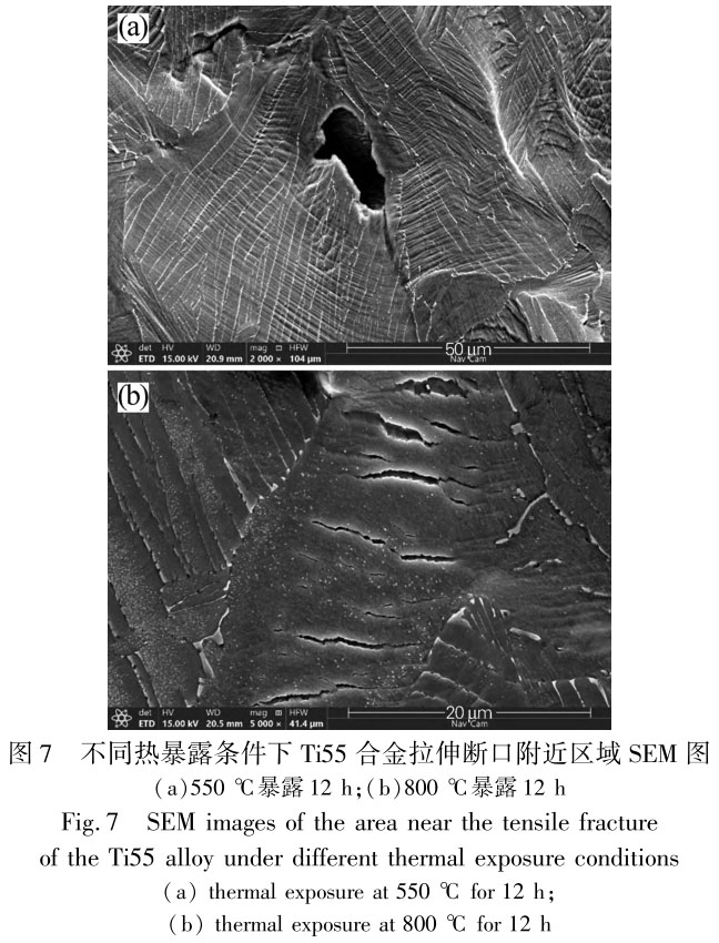 1711447320133632.jpg t7.jpg