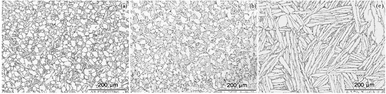 1712482541761267.jpg 2.jpg