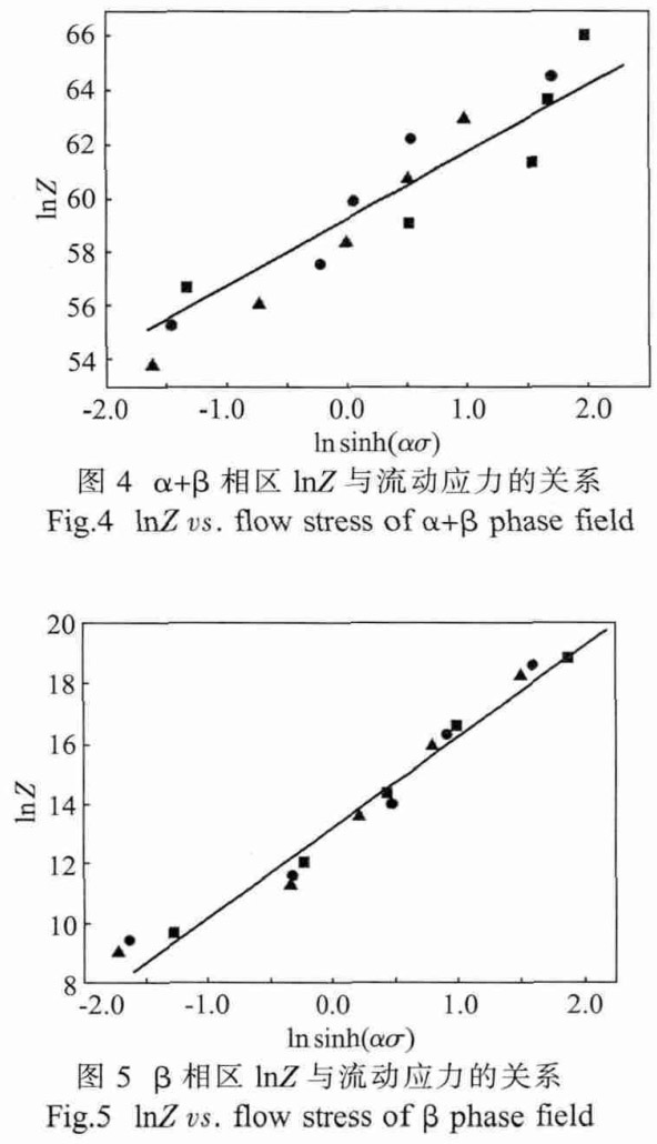 1713495544465305.jpg t5.jpg