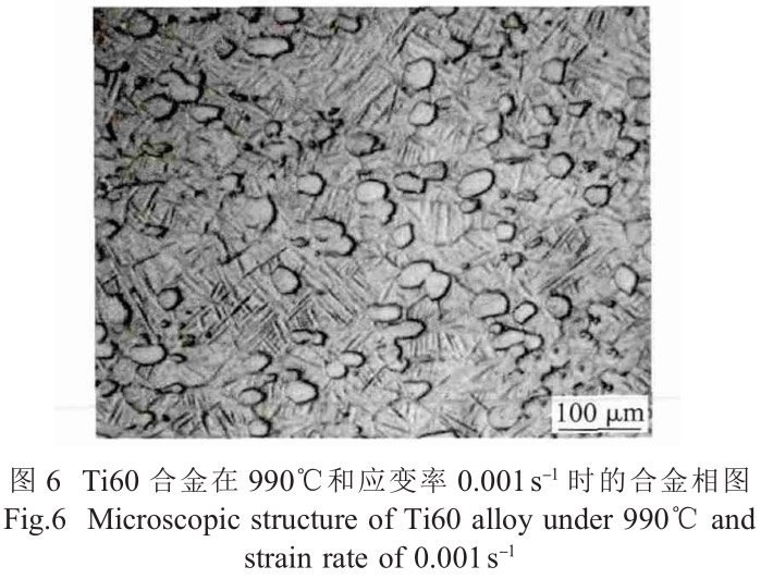 1713495567268323.jpg t6.jpg