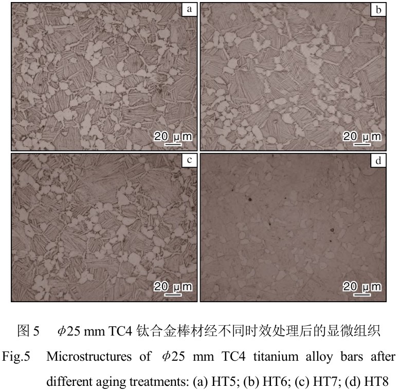 1713948900394407.jpg t5.jpg