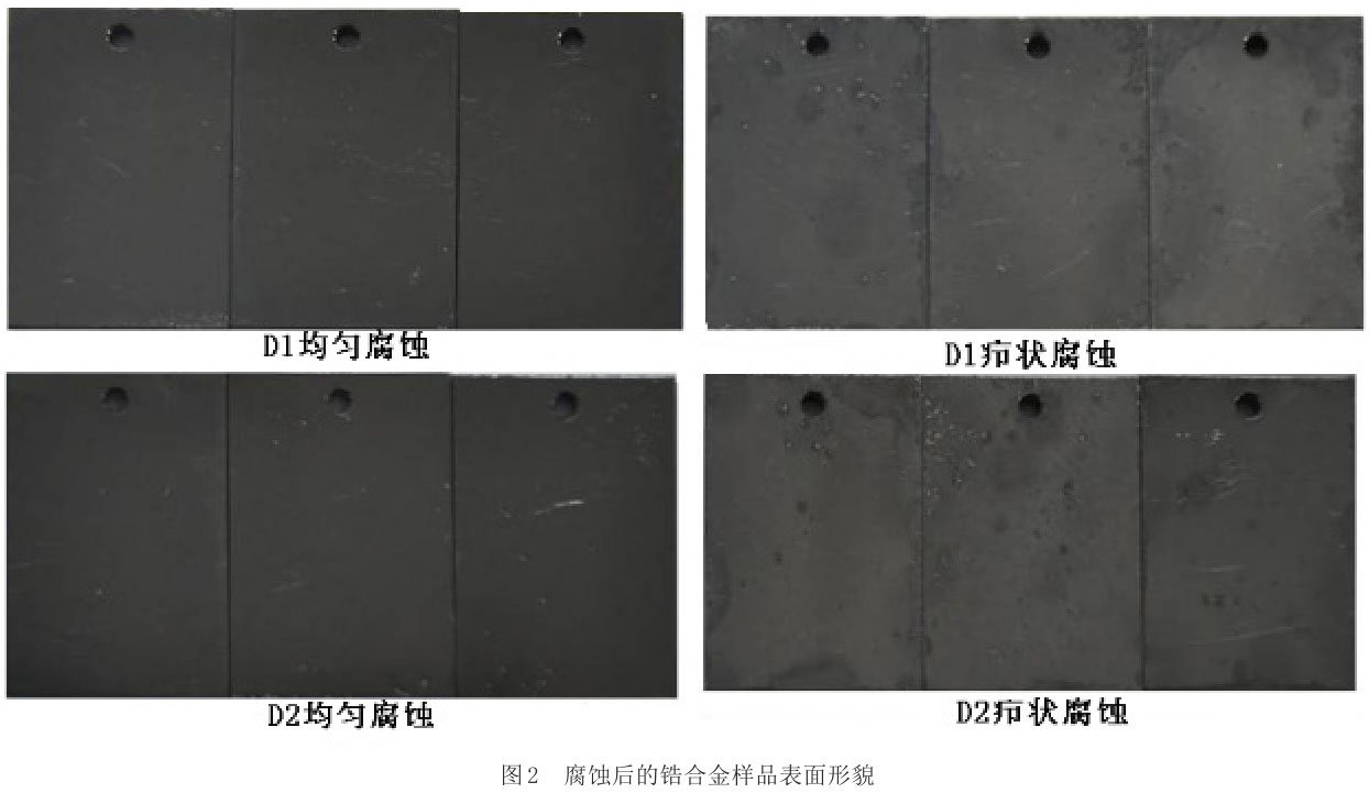 1717035291998573.jpg t2.jpg