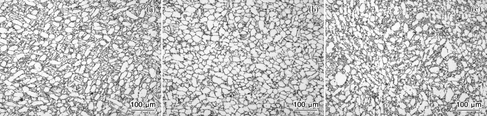 1720103063102078.jpg 1.jpg