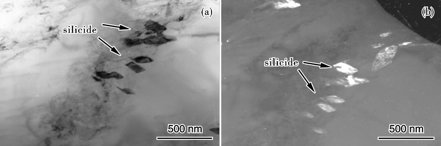 1720103092472639.jpg 3.jpg