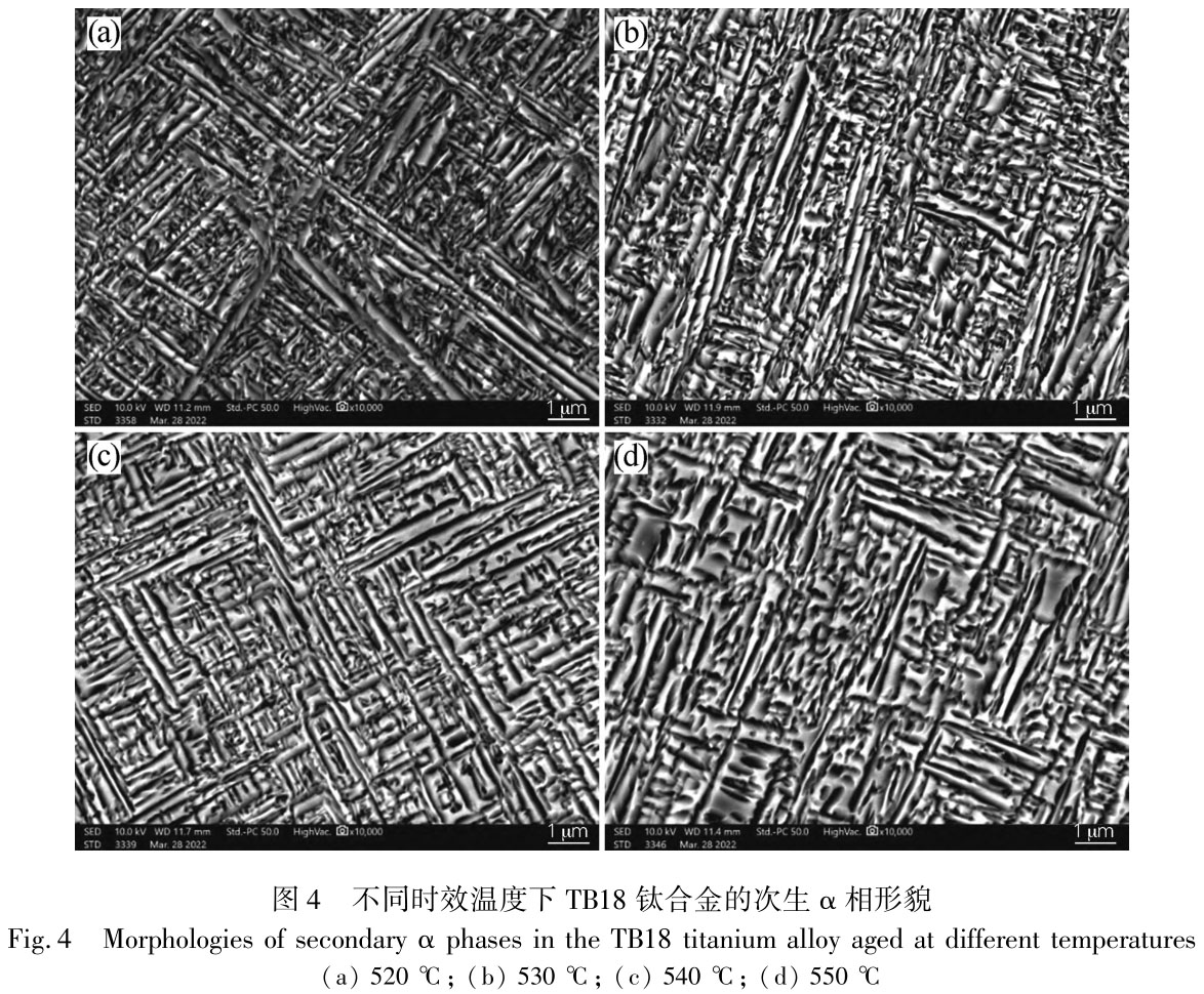 1721009922579778.jpg t4.jpg