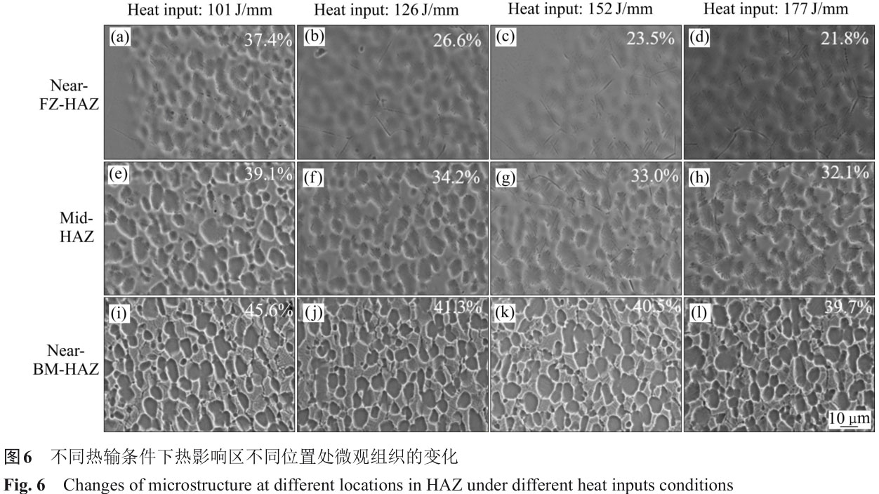 1723728904545115.jpg t6.jpg