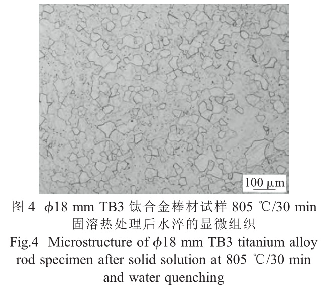 1726738211476166.jpg t4.jpg