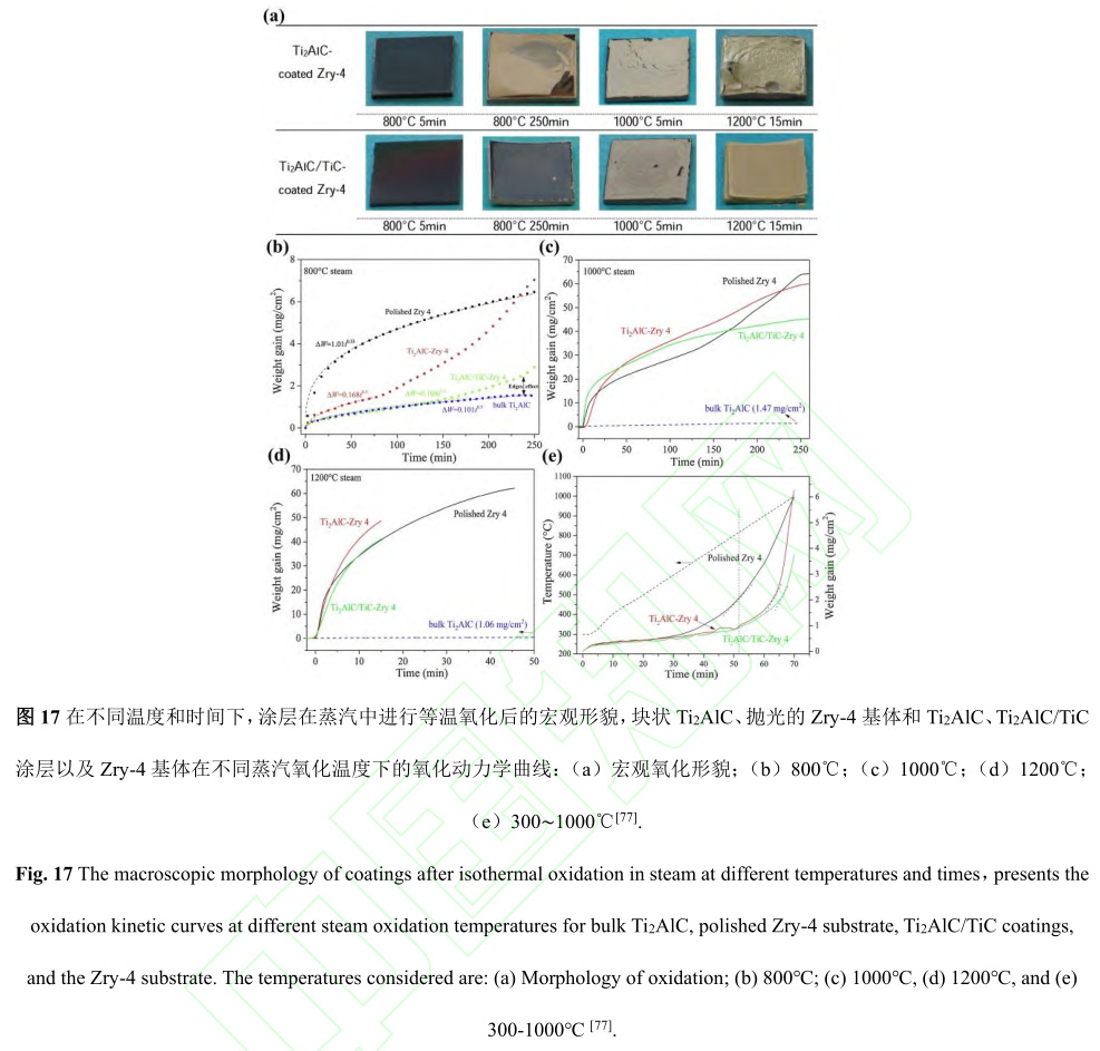 1729135365355528.jpg 17.jpg