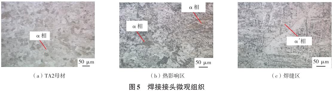 1729734635665761.jpg 5.jpg