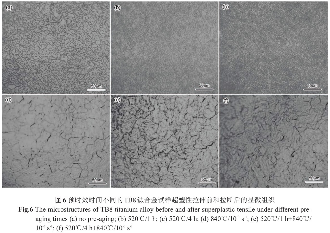 1733194260482496.jpg 6.jpg