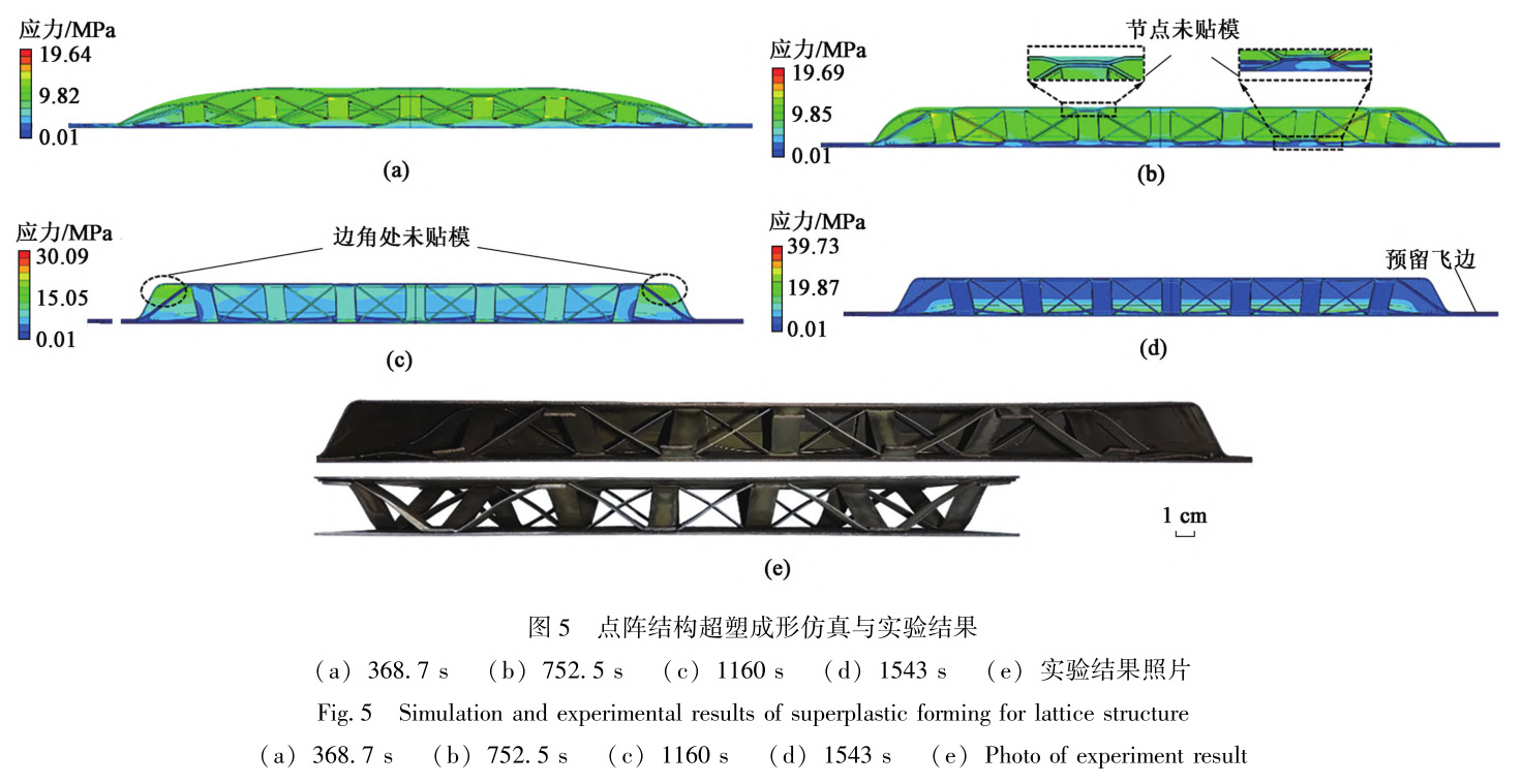 1735284133629796.jpg 5.jpg