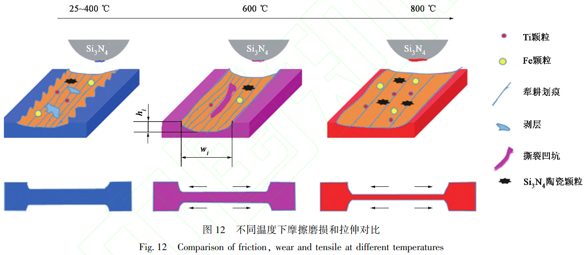 1739626558684329.png 12.png