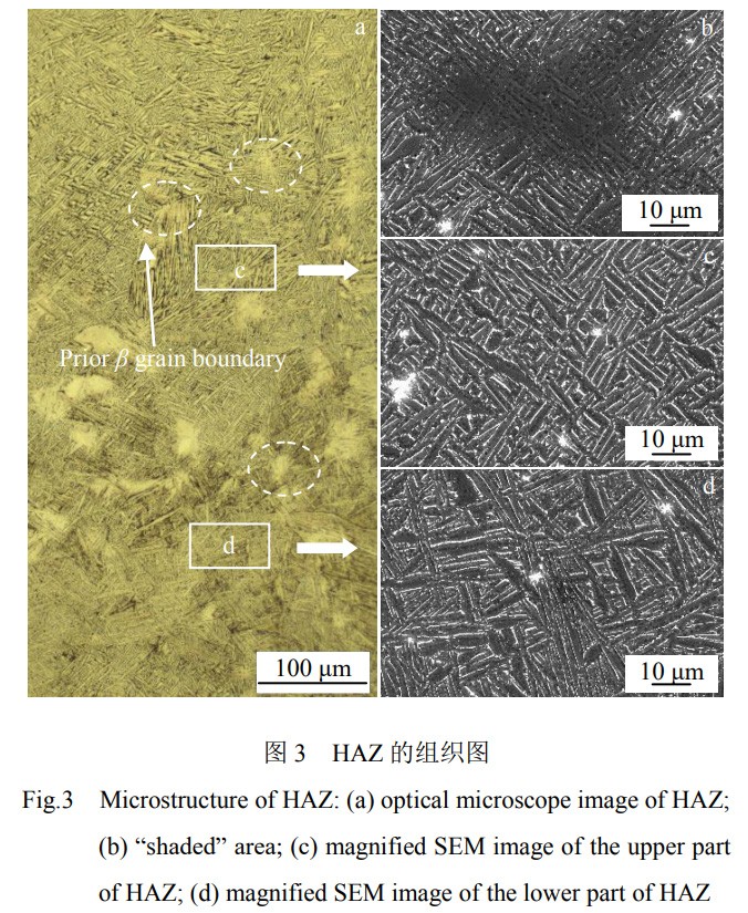 1739628325181828.jpg 3.jpg