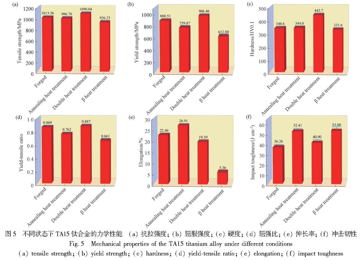 1743392208111304.jpg 5.jpg