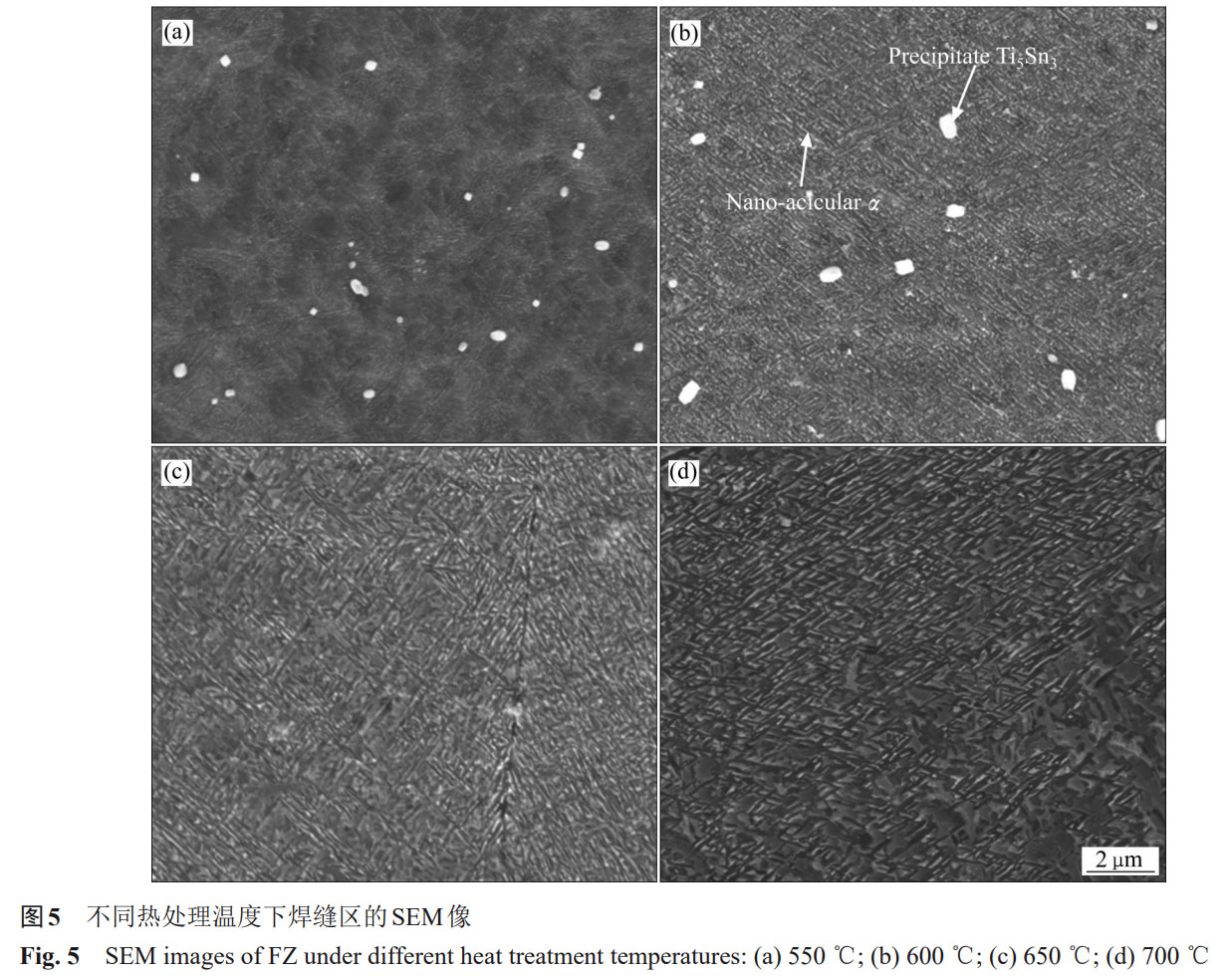 1758633528741085.jpg 未標(biāo)題-4.jpg